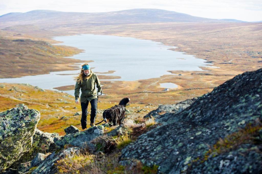 Laegenheter Hamrafjaellet Iskuben Apartamento Tänndalen Exterior foto